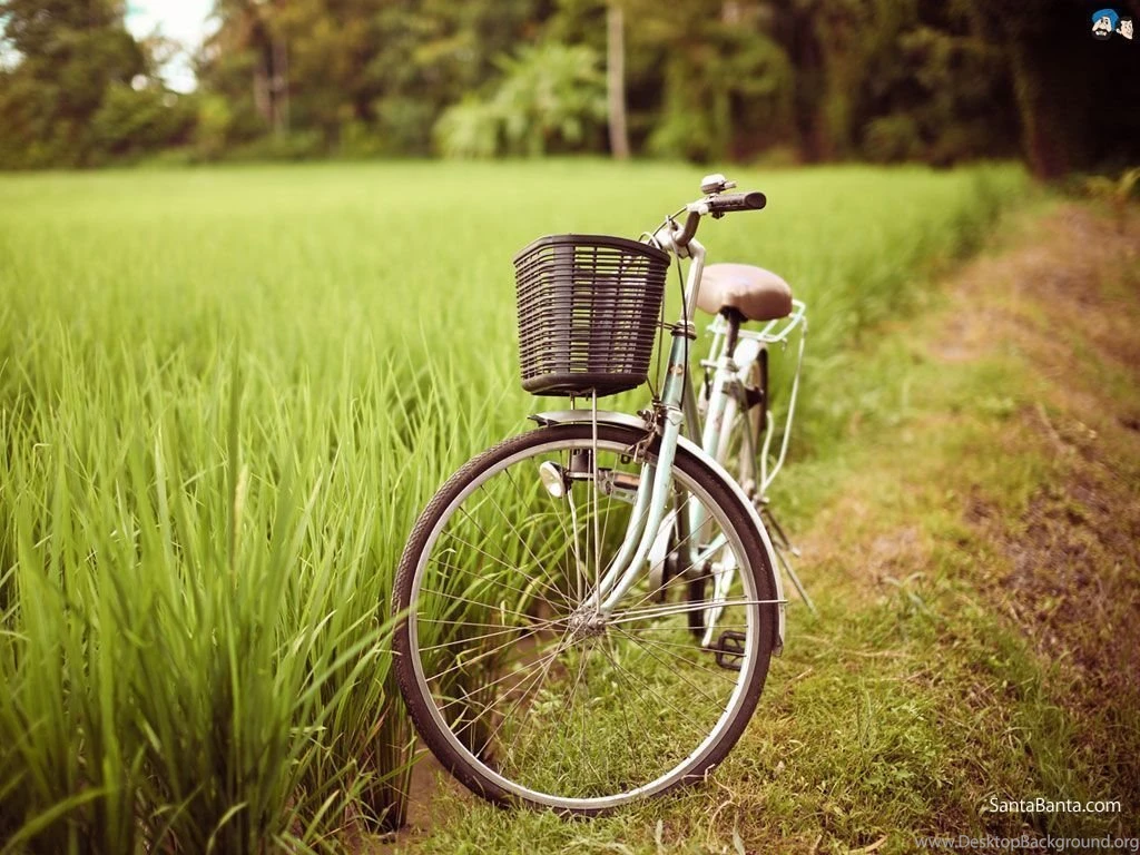 Bicycles Wallpapers