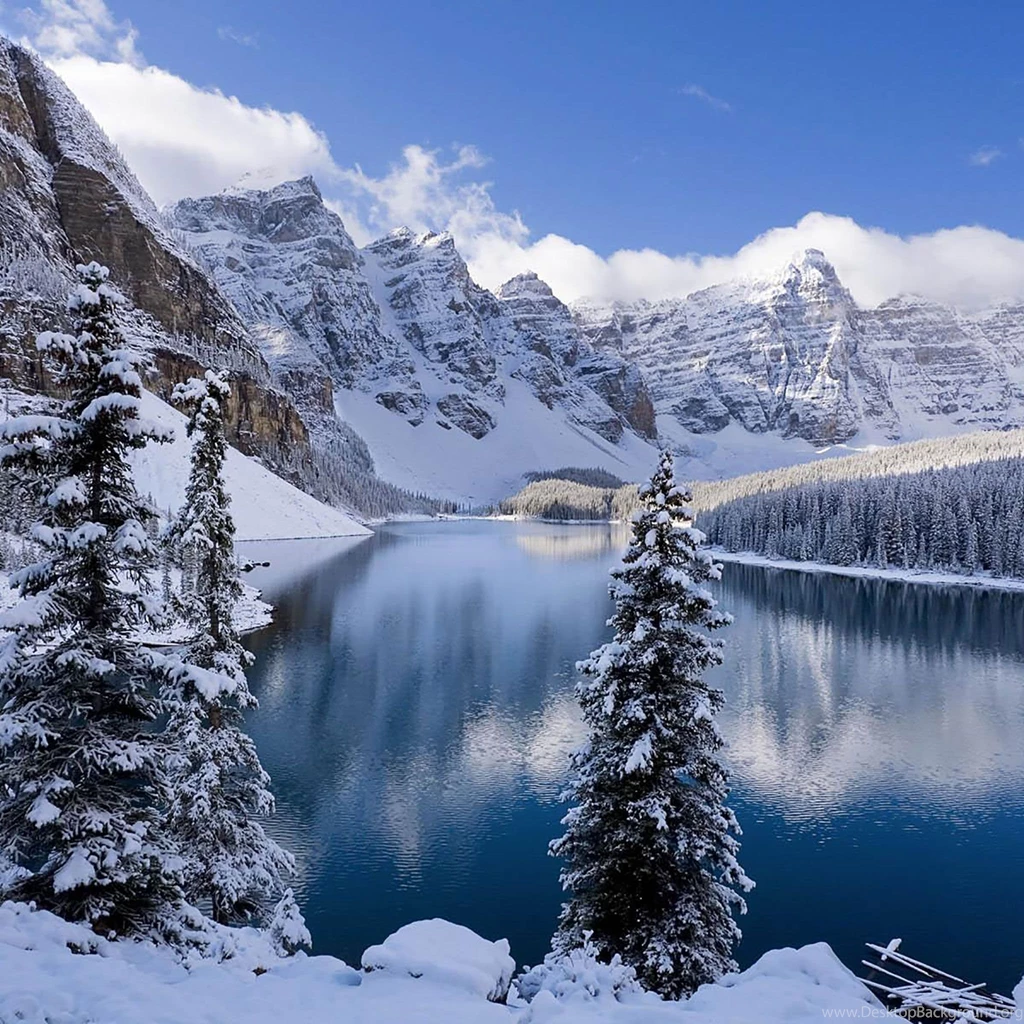 25 Winter iPad Wallpapers