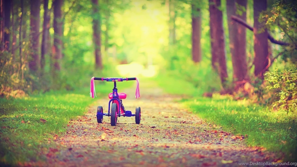 Bicycle Wallpaper.