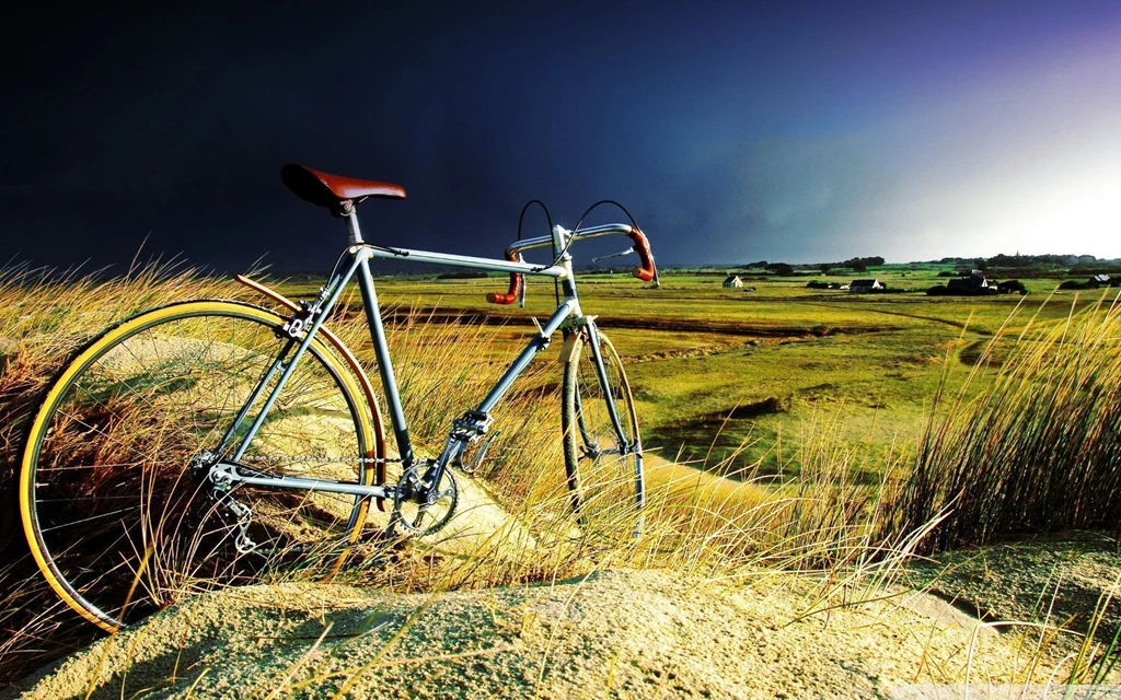 Sports Archives Page 15 Of 19 Free Wallpapers Full Hd 1080p ...