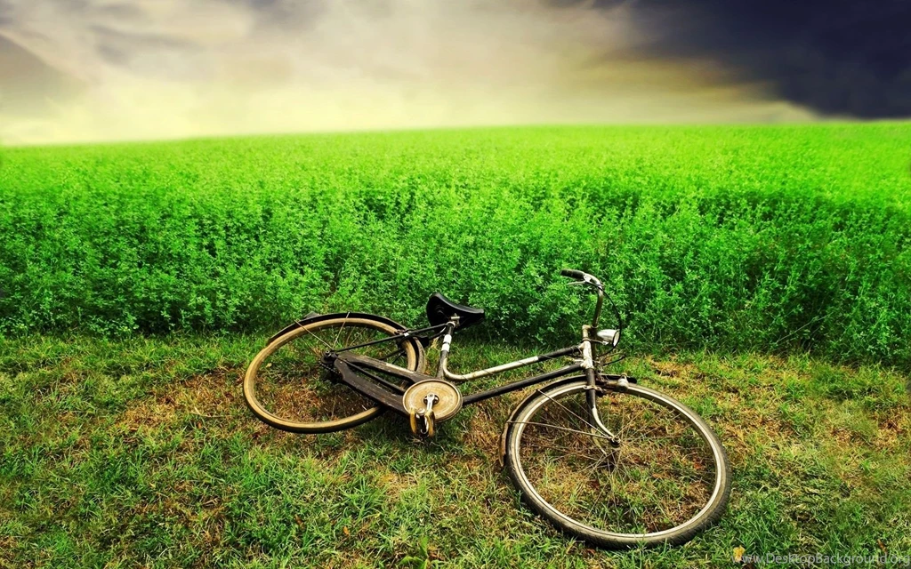 Free Download High Definition Wallpapers For Desktop And Gadgets ...