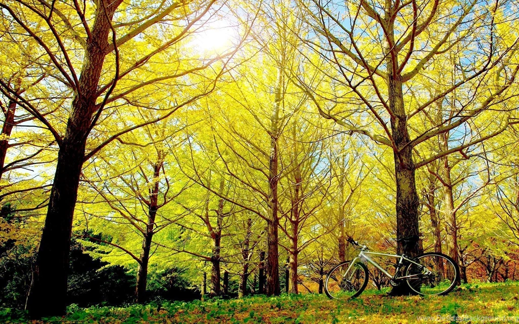 Bicycle Computer Wallpapers, Desktop Backgrounds