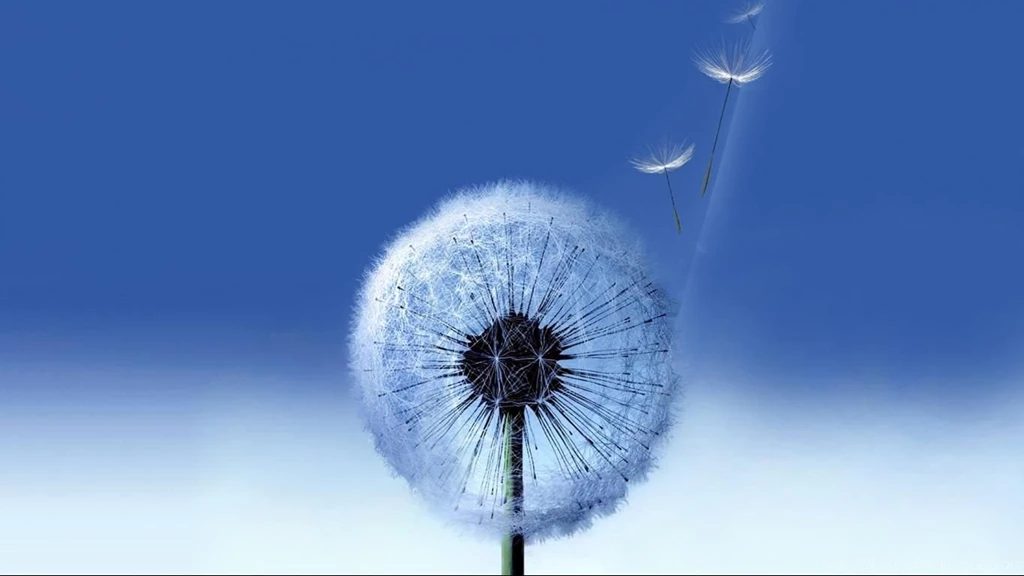 1080P Cool Wallpapers Wallpapers Mela