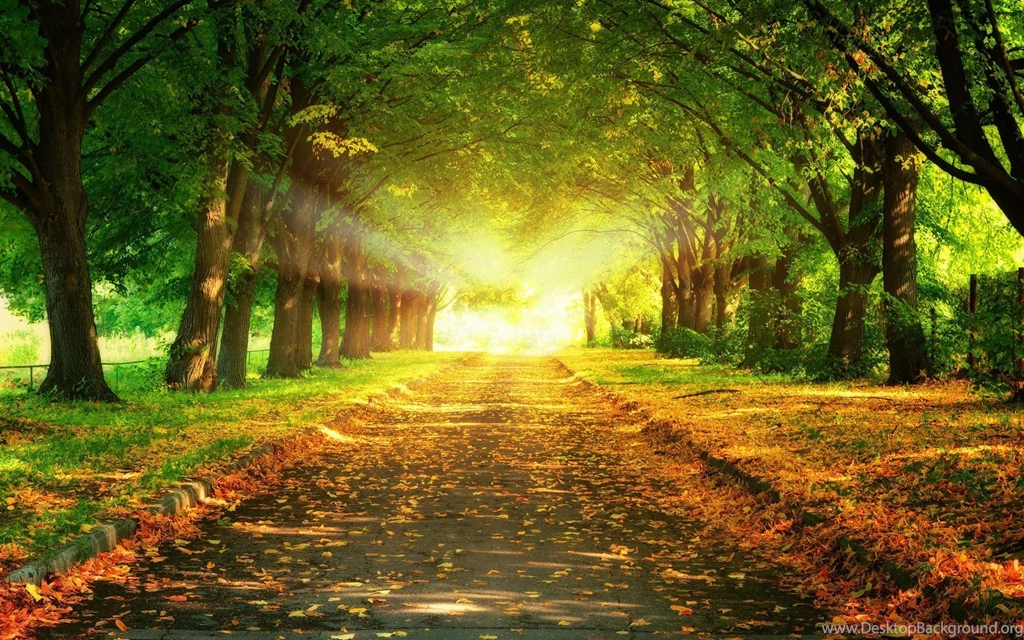 Hd Backgrounds Wallpapers