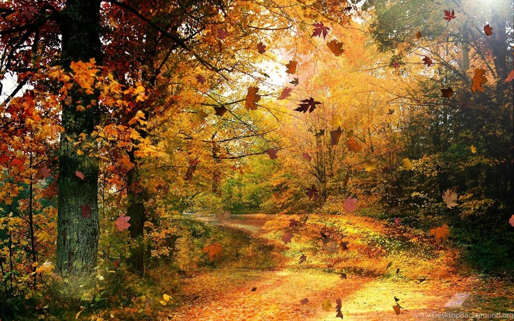 Hd wallpaper autumn hd 1080p 12 HD Wide Wallpapers