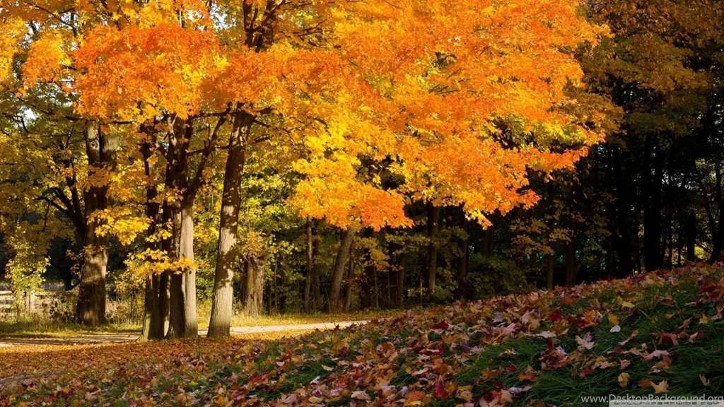 Fall Scene HD Desktop Wallpapers : High Definition : Fullscreen ...