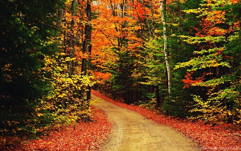 Fall Desktop Wallpapers, Fall Images Free, New Wallpapers