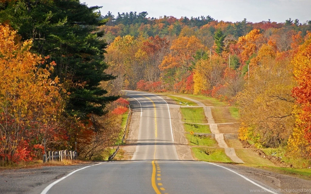 Download Fall For Mac Autumn Road By Car Wallpapers