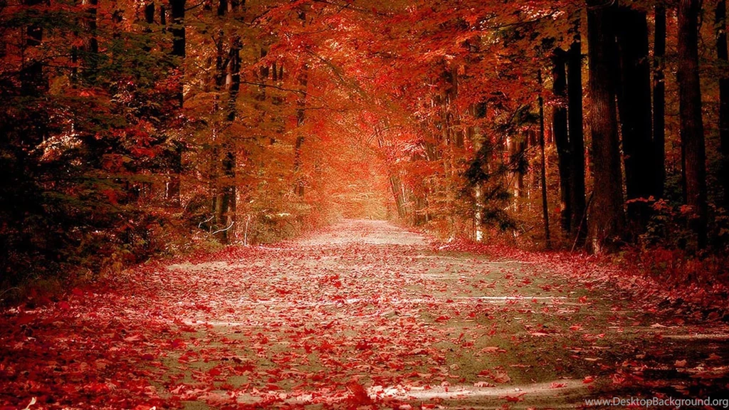Autumn Nature Wallpapers HD Pictures