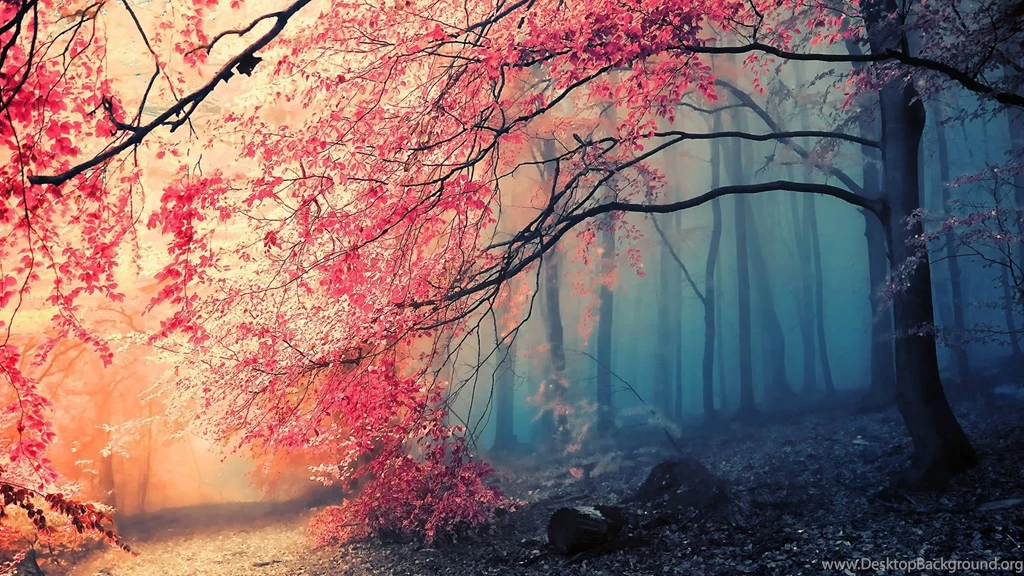 Theme Bin» Blog Archive » Autumn Glory HD Wallpapers