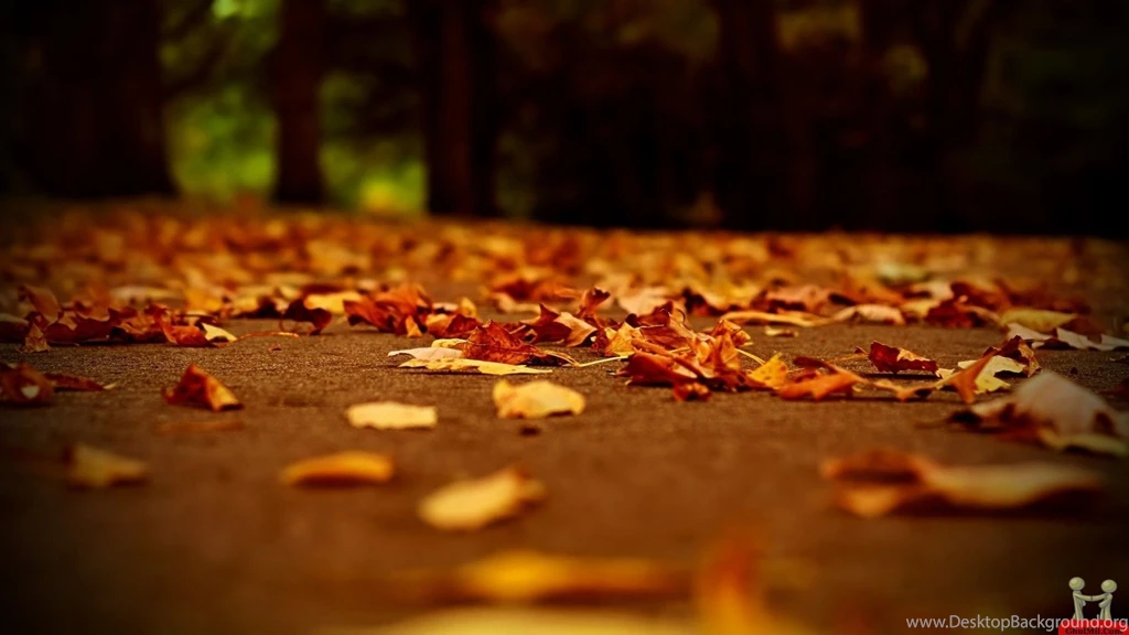 Autumn Wallpapers Hd 106193