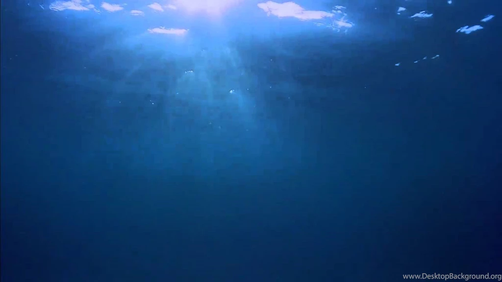 Underwater Windows 7 Backgrounds (Dreamscene) YouTube