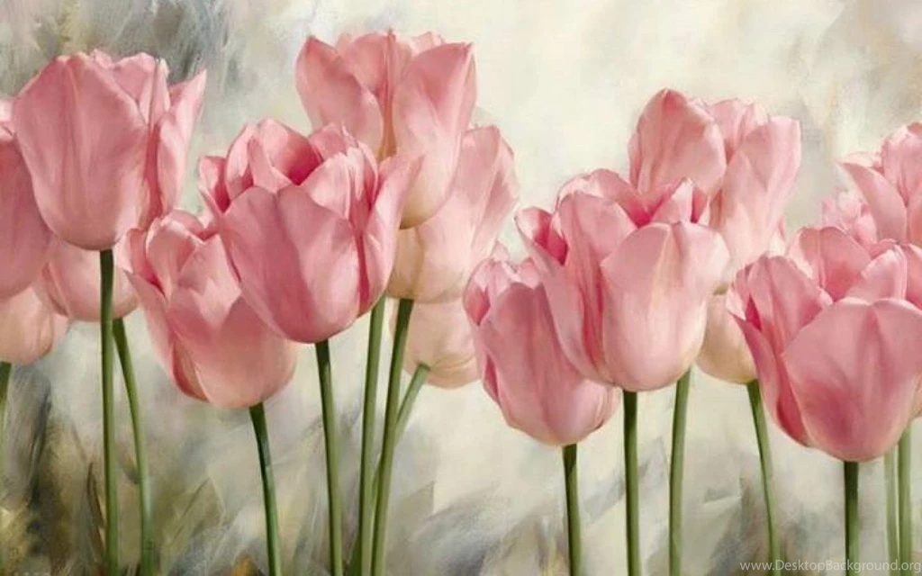 Soft Wallpapers >> Backgrounds With Quality HD