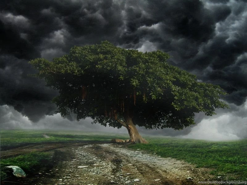 The Coming Storm Premade Backgrounds By Eveningstars242 On DeviantArt