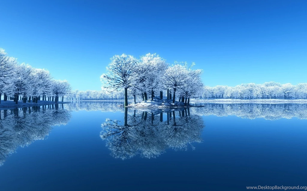 Nature Winter Tree in Lake HD Desktop Wallpapers.jpg