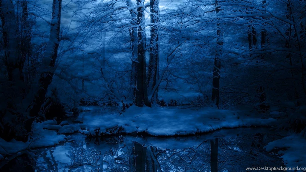 Frozen Forest Nature At Winter HD Wallpapers Wallpapers (
