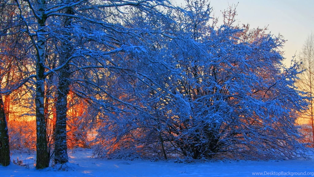 1823 Winter HD Wallpapers