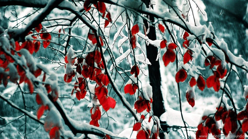 Wallpapers Winter And Red Leaves 1920 X 1080 Full Hd 1920 X 1080 ...
