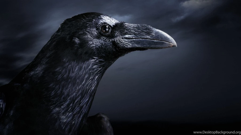 1920x1080 Wallpapers HD 12 Download