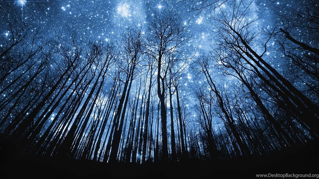 Stars HD Wallpapers Free Download