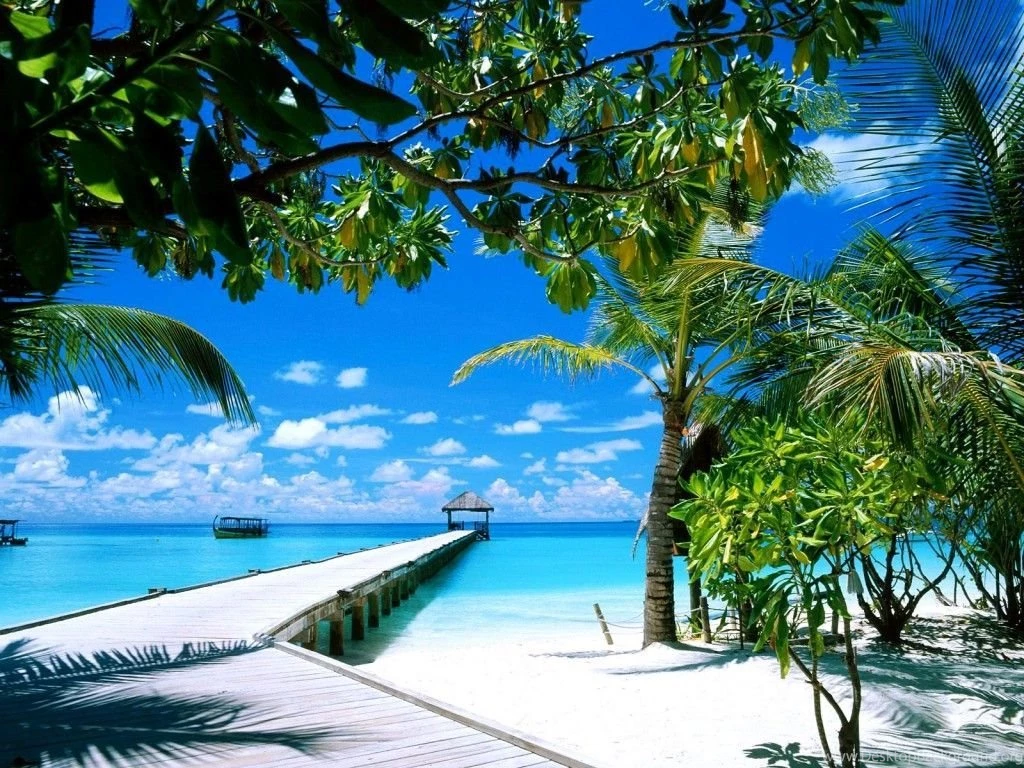 Download wallpaper for pc 1.jpg