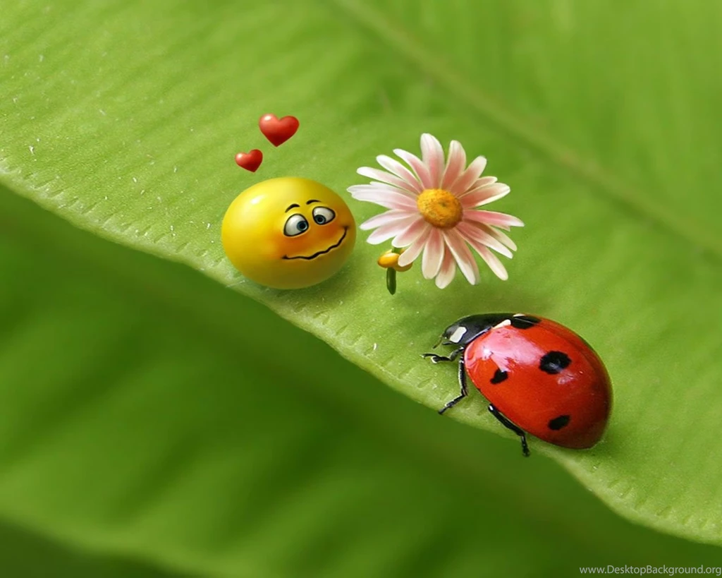 Wonderful HD Wallpapers For PC 1200x900px