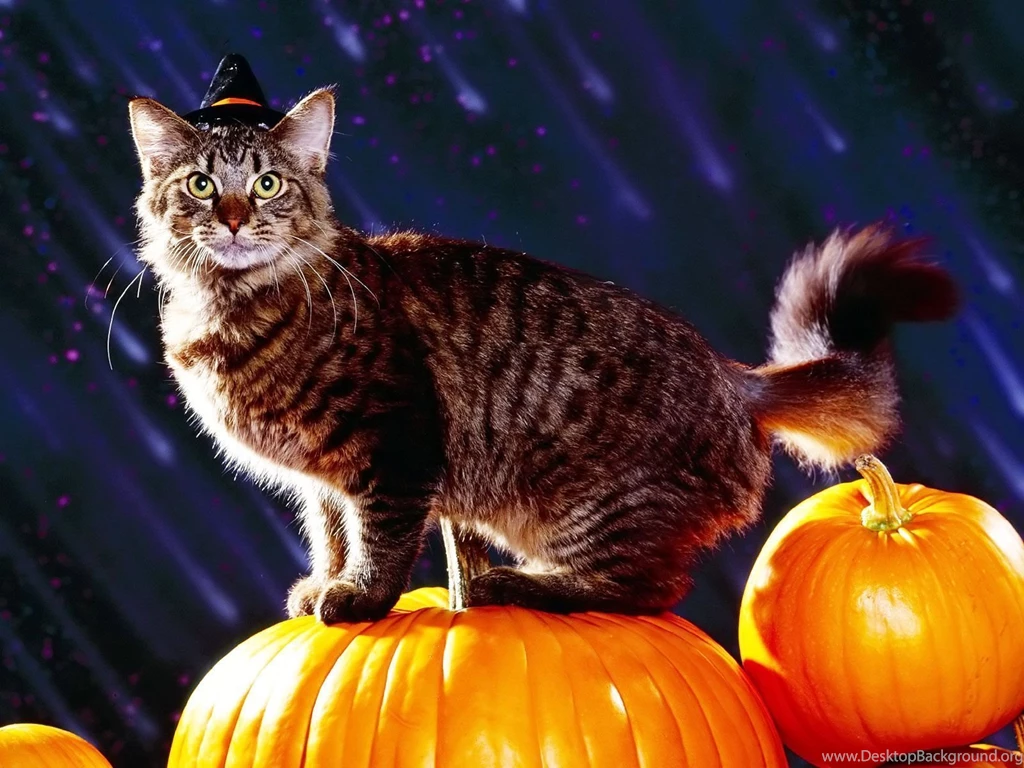 Halloween Desktop Wallpaper_hd Wallpaper_download Free Wallpapers