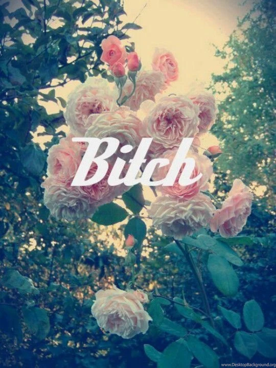 Bitch Vulgarity Pink Flowers iPhone Wallpaper Backgrounds