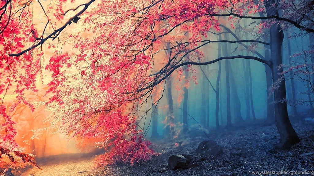 Wallpapers Recopilación [Full HD] [1080p]