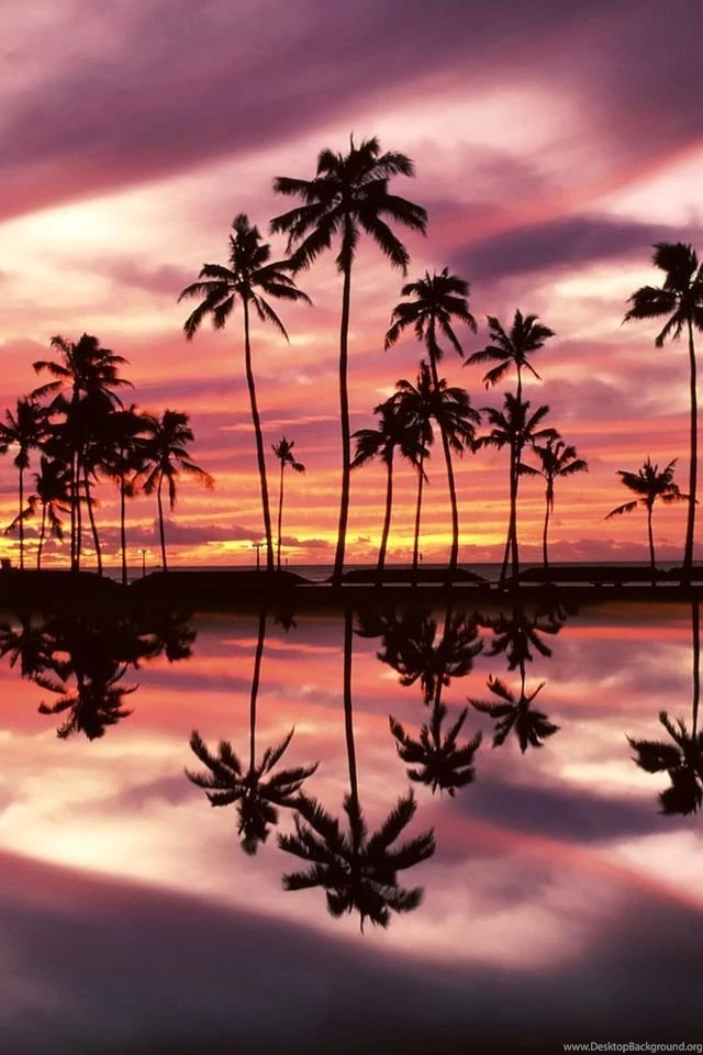 Sunset Over The Ala Moana Beach Park, Honolulu, Oahu, Hawaii ...