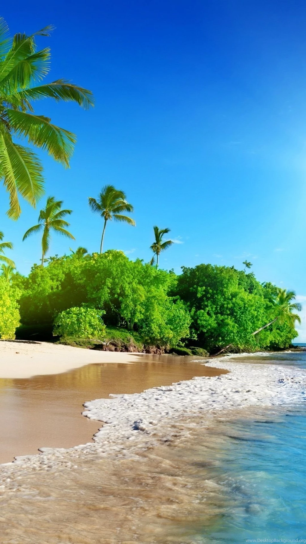Beach iPhone wallpaper For iPhone 6 plus 1080x1920 sunshine beach hd1.jpeg