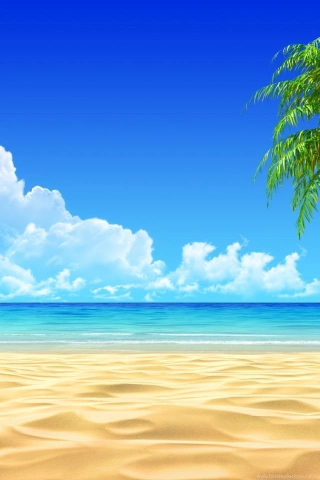 640x960 Breath Taking Tropical Beach Iphone 4 Wallpapers