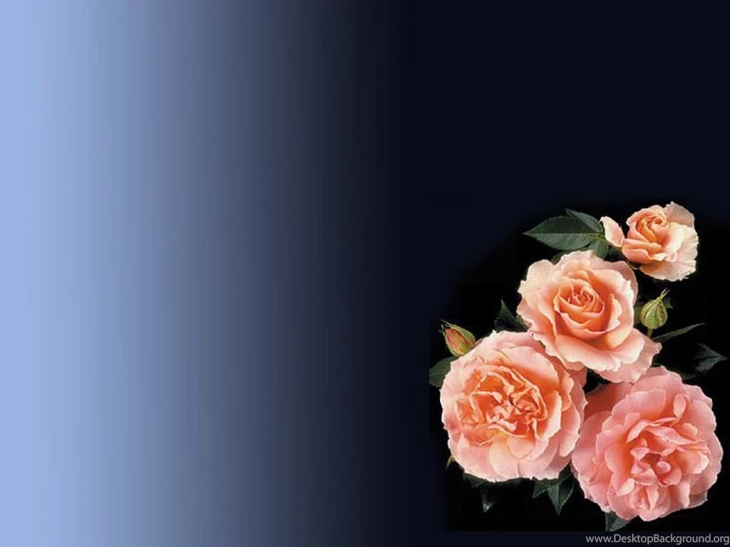 Free Transparent Rose Backgrounds For PowerPoint Flower PPT ...