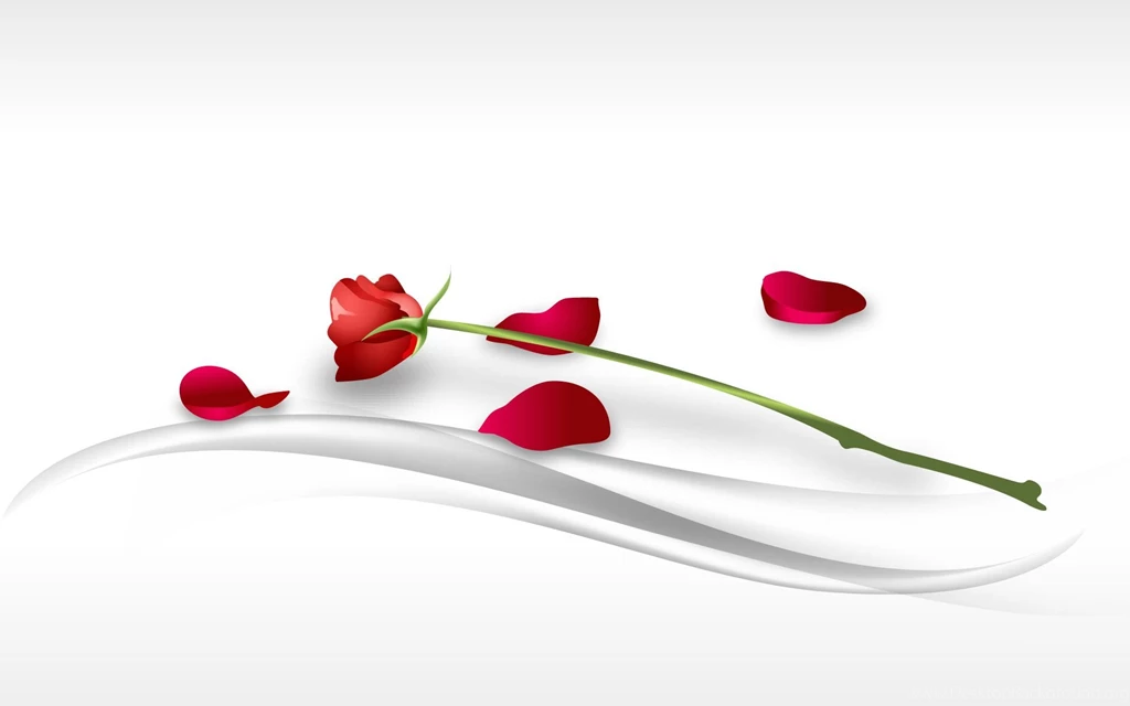 Red Rose Computer Wallpapers, Desktop Backgrounds