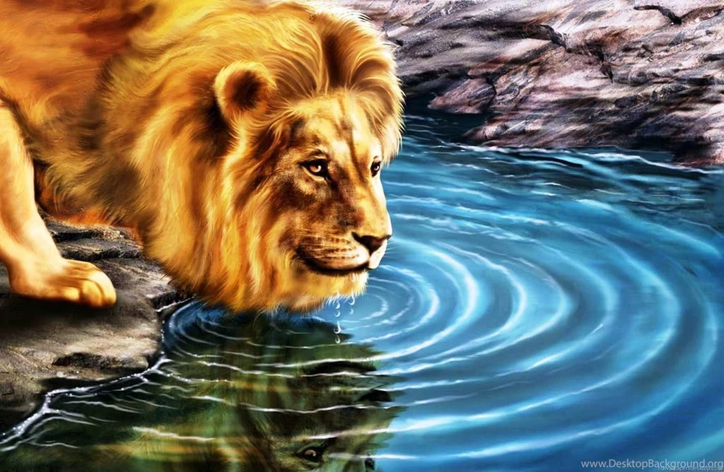 Desktop Wallpapers Hd 1080p ~ Elrinconcitodemaya