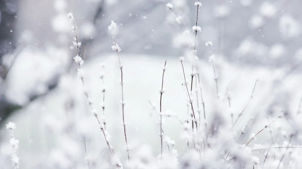 Snow HD Desktop Wallpapers : High Definition : Fullscreen : Mobile