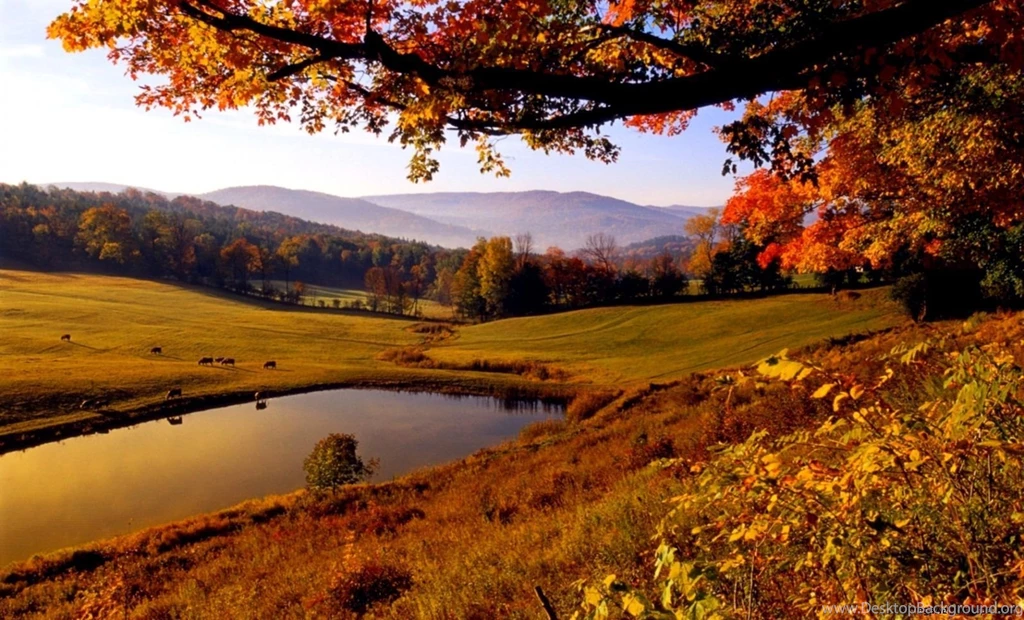 Autumn Image For Desktop Wallpapers