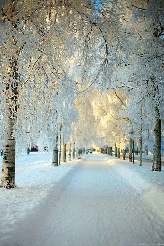 Winter iPhone Backgrounds On Pinterest