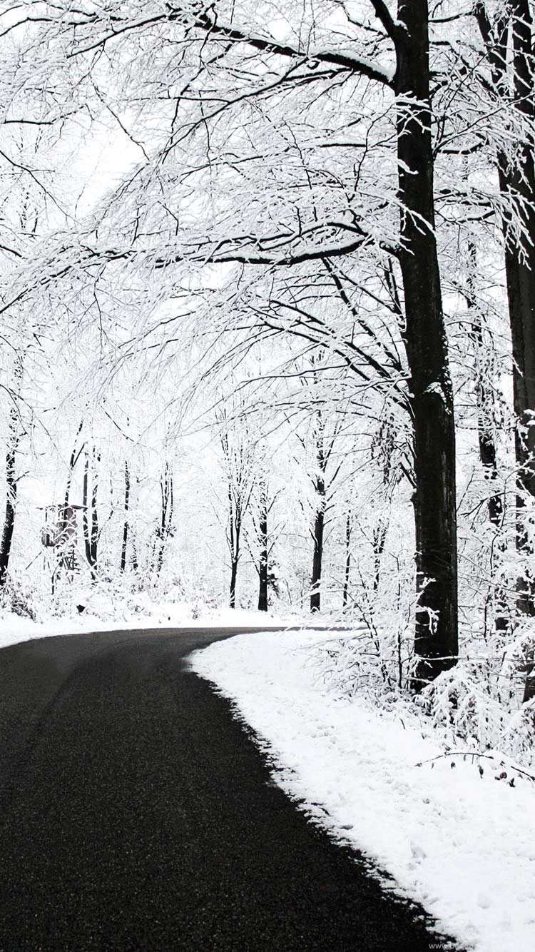 Winter iPhone 6s wallpaper.jpg