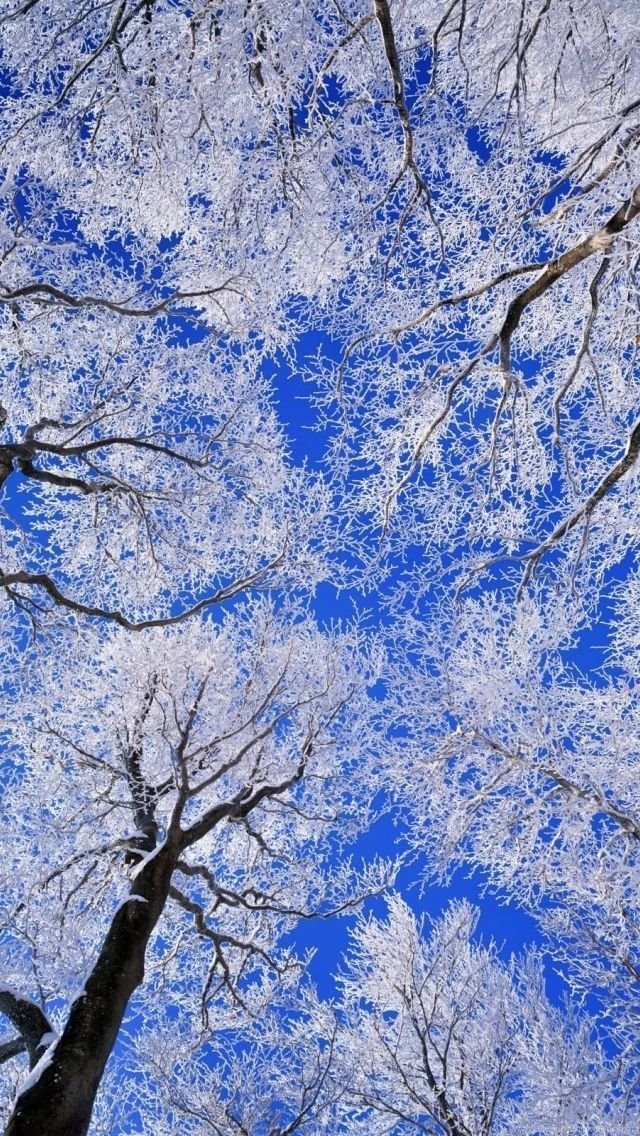 iPhone 5 Wallpapers, iPhone 5 Backgrounds
