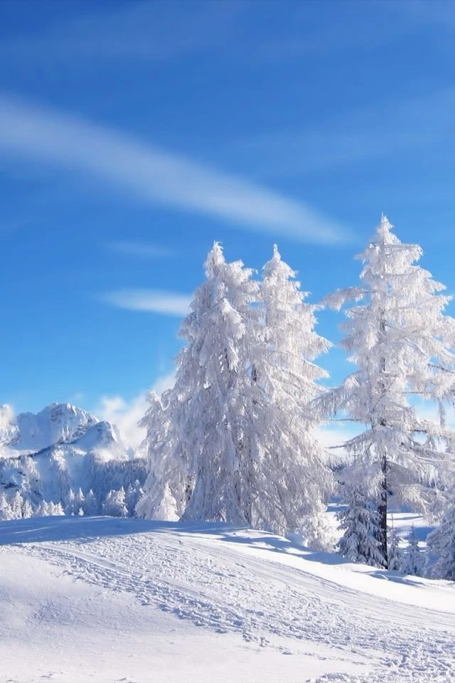 640x960 Winter Iphone 4 Wallpapers