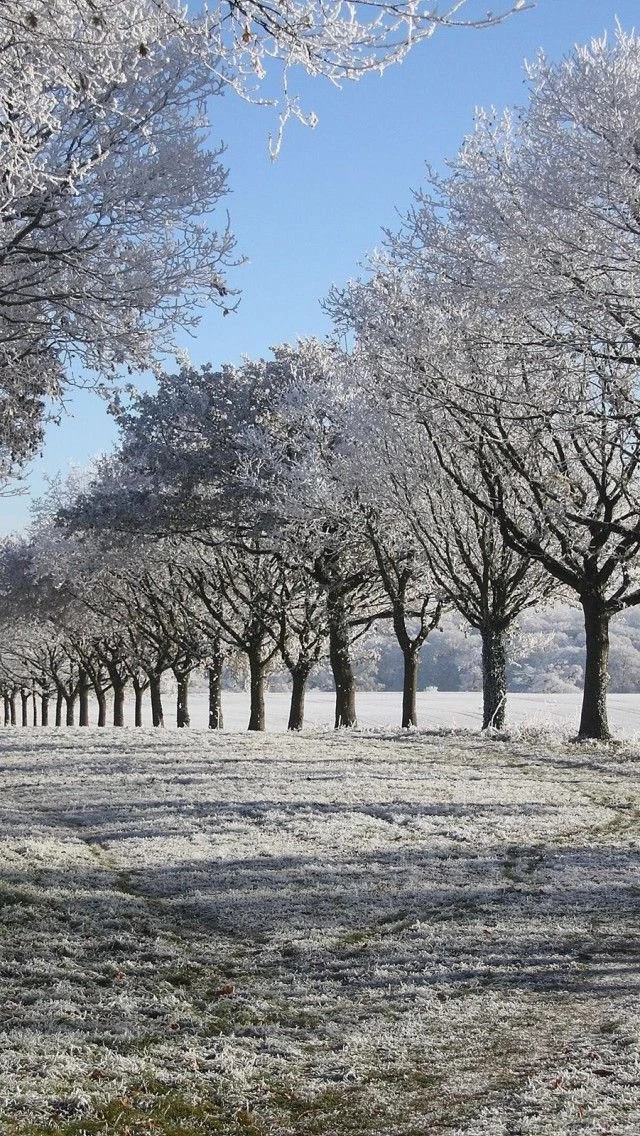 Winter Alley iPhone 5s Wallpapers Download