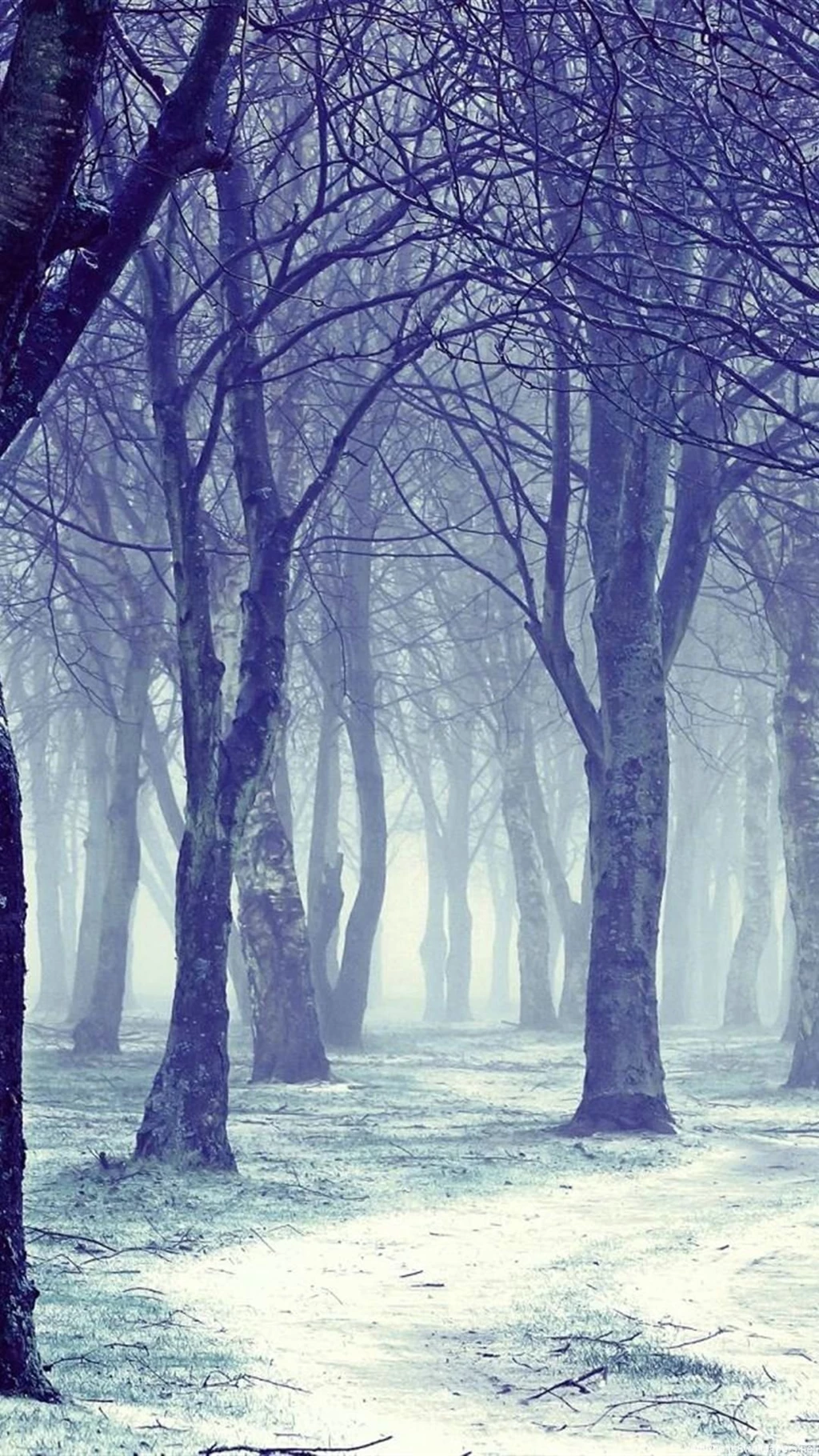 Winter iPhone 6 Wallpapers HD And Winter 6 Plus Wallpapers 1080P
