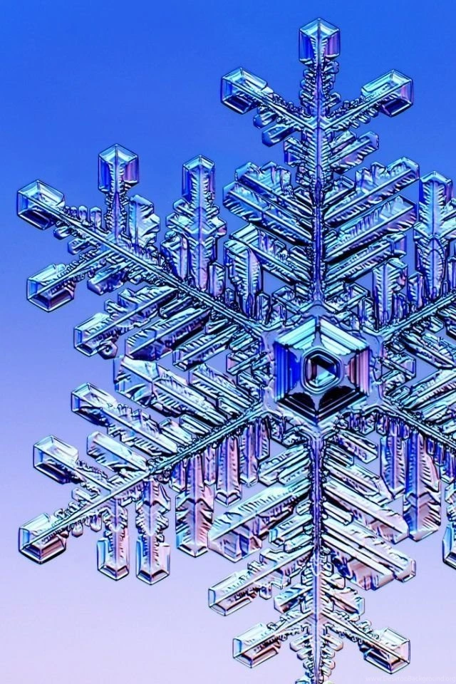 640x960 Winter Flake Iphone 4 Wallpapers