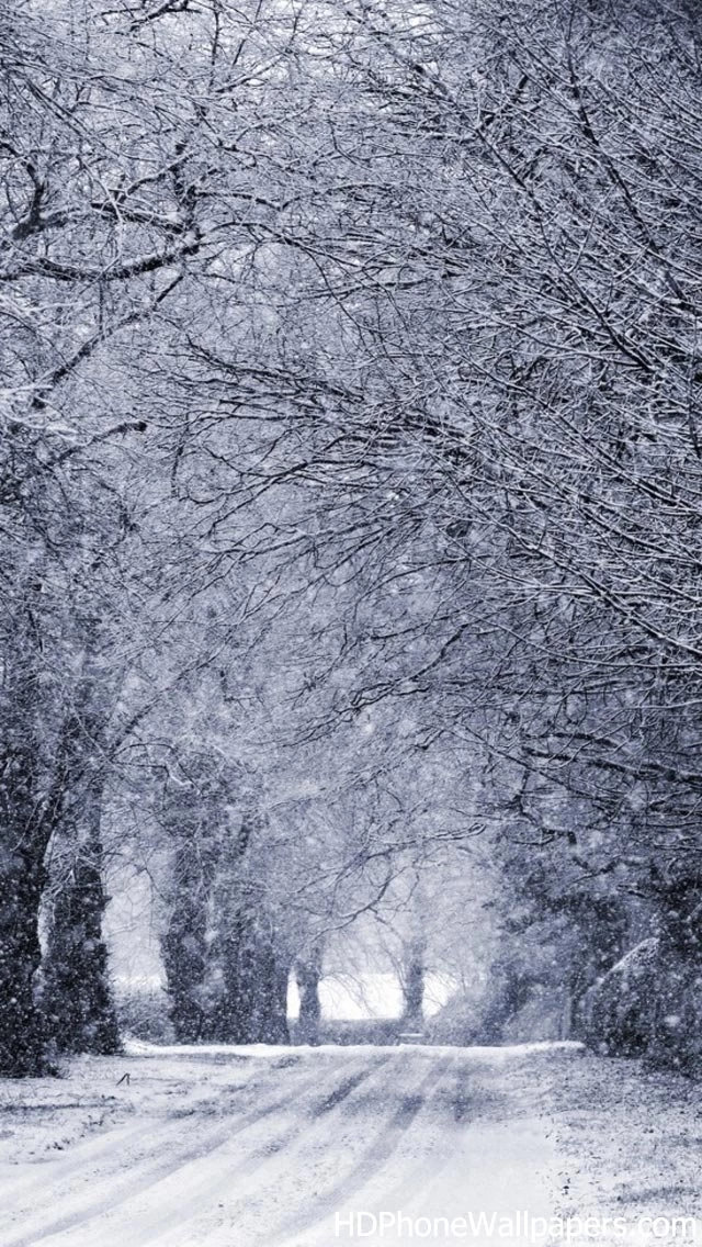 Winter Road iPhone 5 Wallpapers (640x1136)