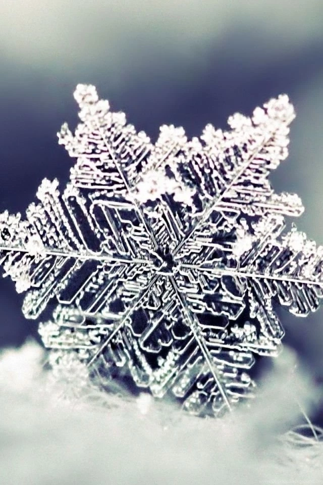 iPhone 4S, 4 Snow Wallpapers HD, Desktop Backgrounds 640x960 ...