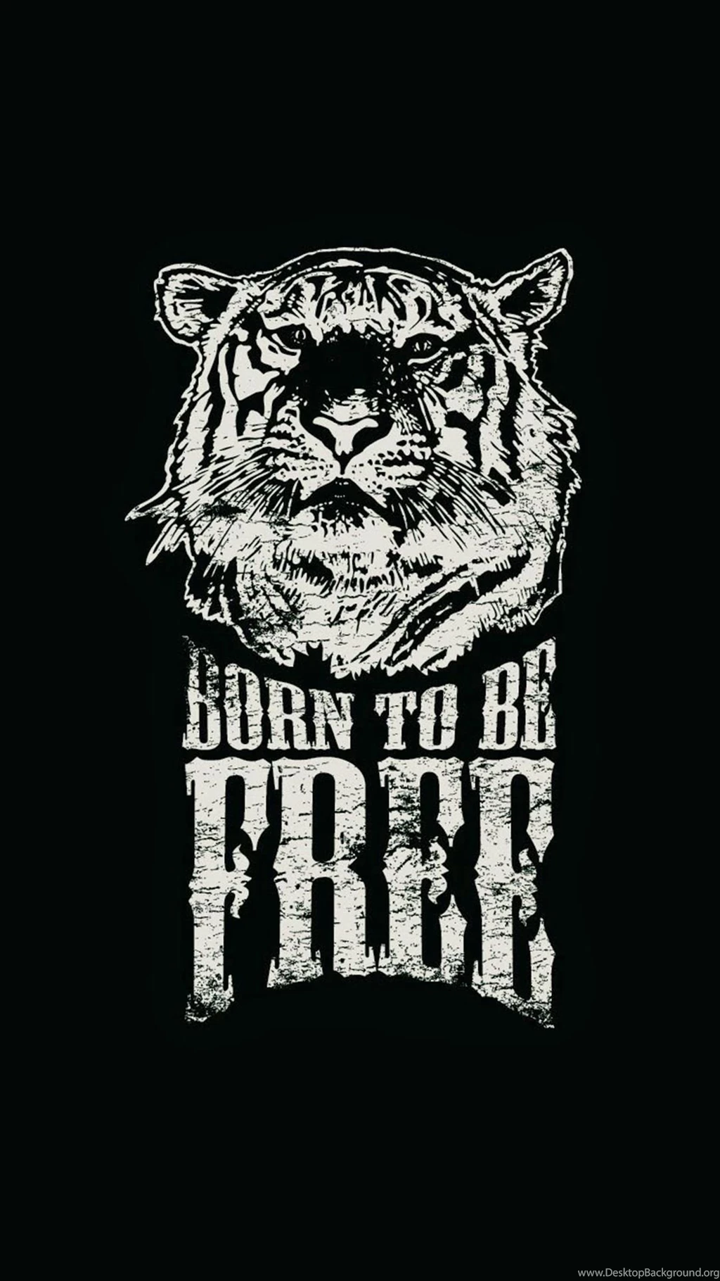 Born To Be Free Tiger Illustration iPhone 6 Wallpapers Download ...