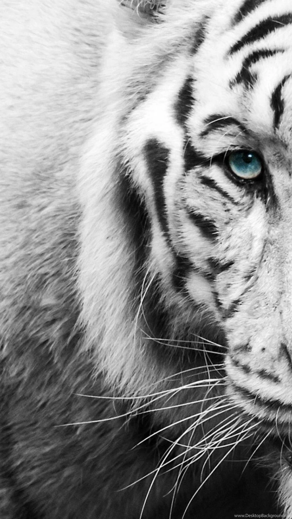 IOS Wallpapers For Free