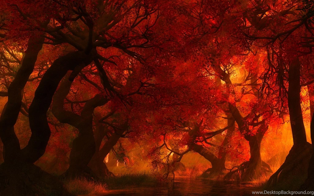 FOREST FIRE WALLPAPER (