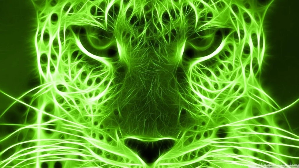 Neon Cat HD Desktop Wallpapers : Widescreen : High Definition